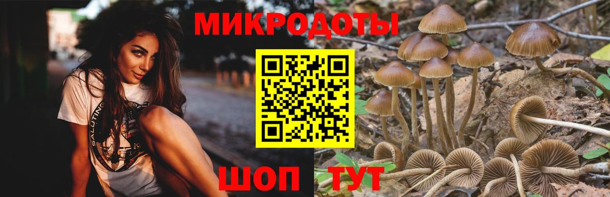 Галлюциногенные грибы прущие грибы  Галлюциногенные грибы GOLDEN TEACHER  Изобильный  Вход с VPN 