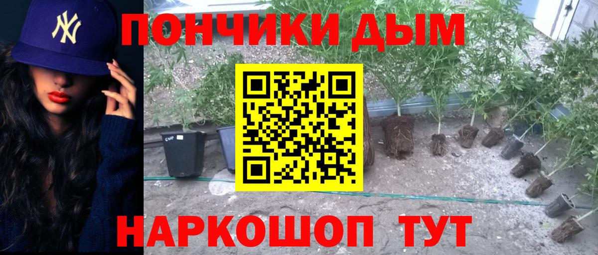 Марихуана план  Конопля конопля  Вход с VPN  Изобильный  Бошки Шишки гибрид 